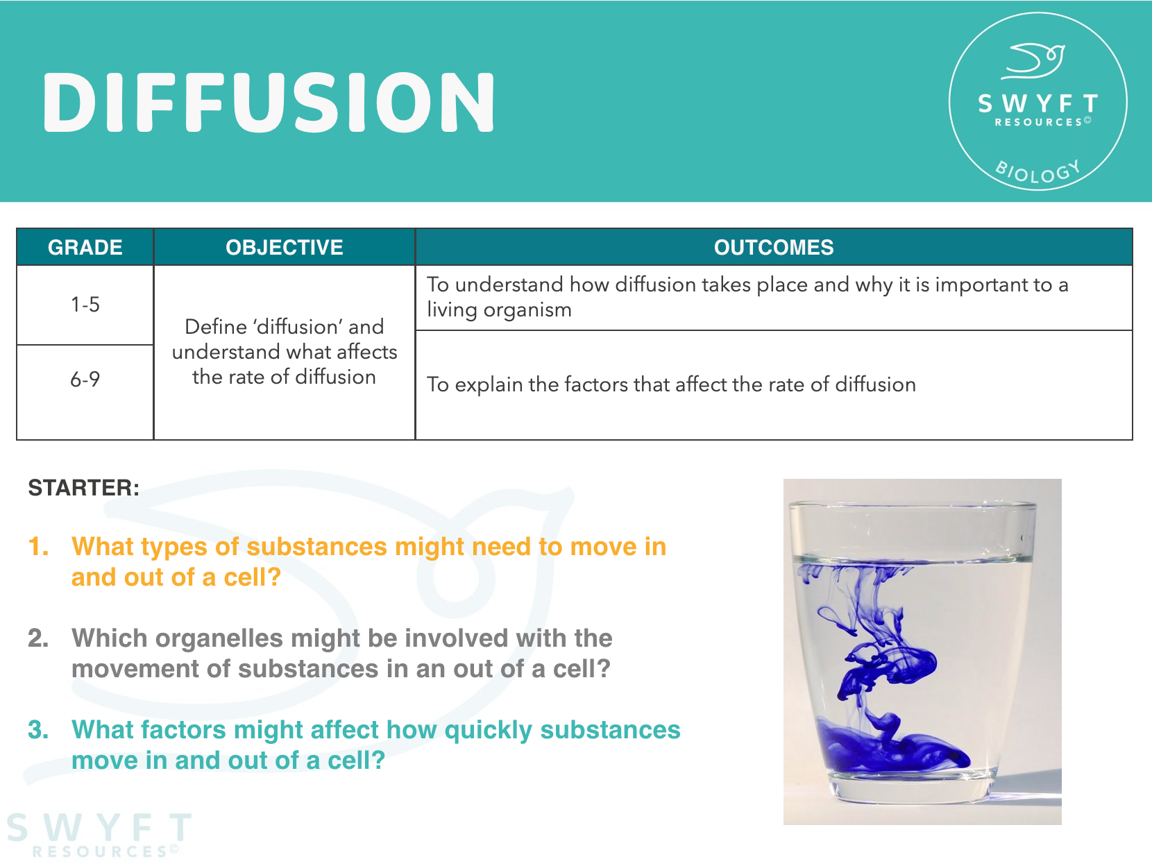 DIFFUSION (CELLS)