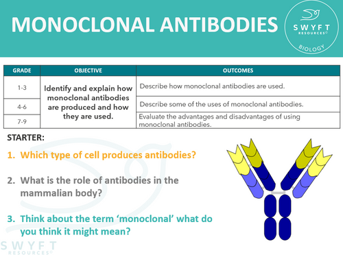 Monoclonal Antibodies Purpose Risks Results