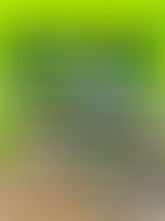 Galleria’s 22nd Anniversary – Week 2 Winners Announcement