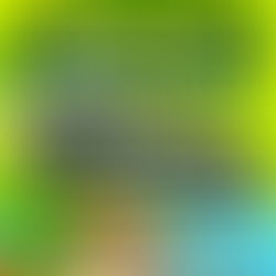 Galleria’s 22nd Anniversary – Week 3 Winners Announcement