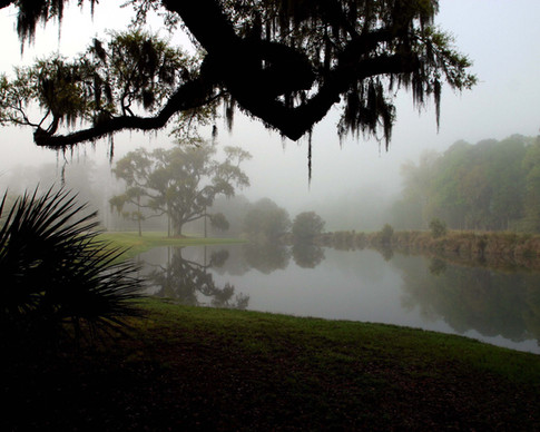 Lagoon in Fog