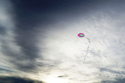 VoaVulva - Viviane Cardell, 2024