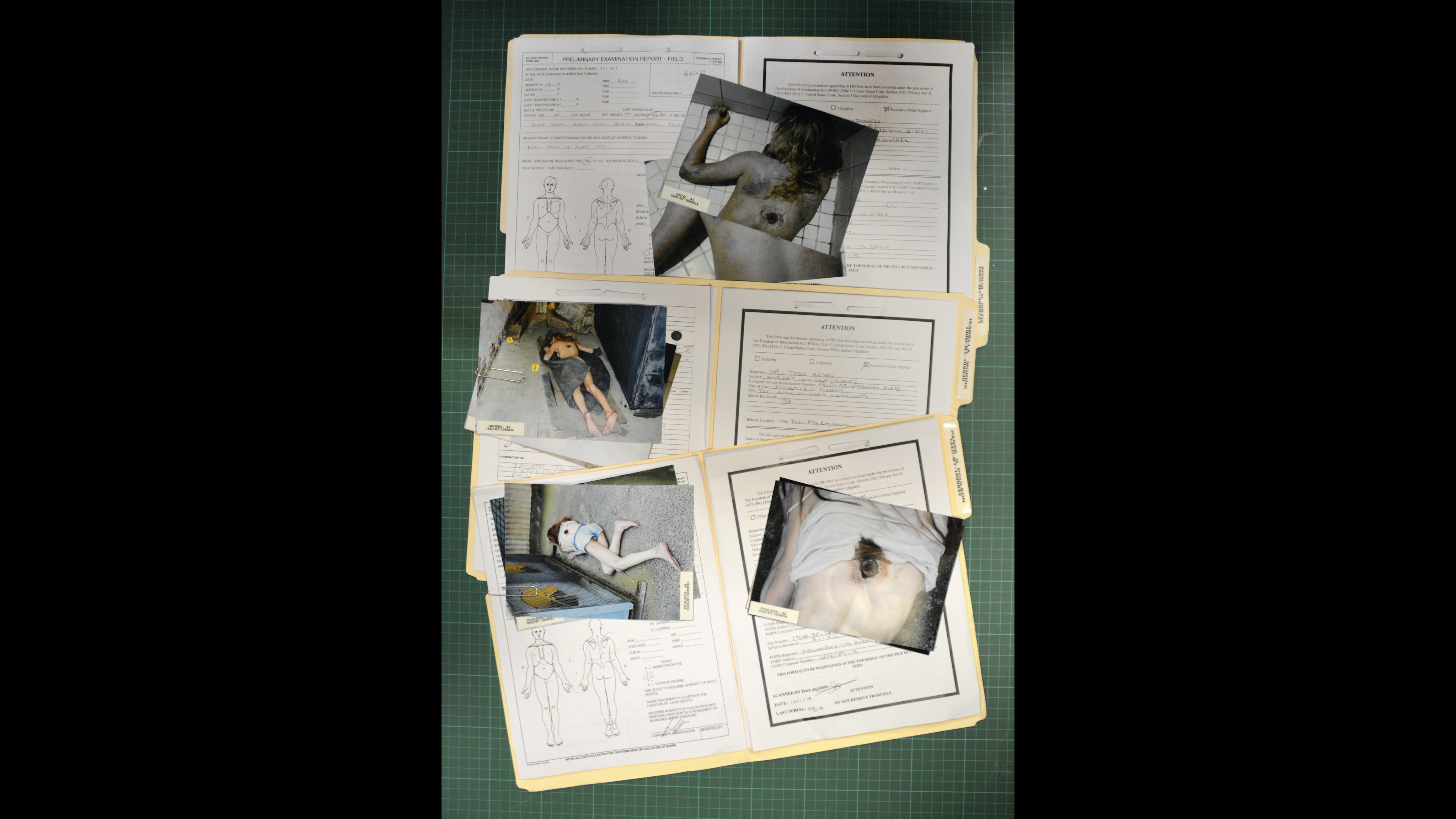 FBI Murder Case Files