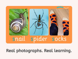 Real-Life Photographs in Early Learning: Why They Matter