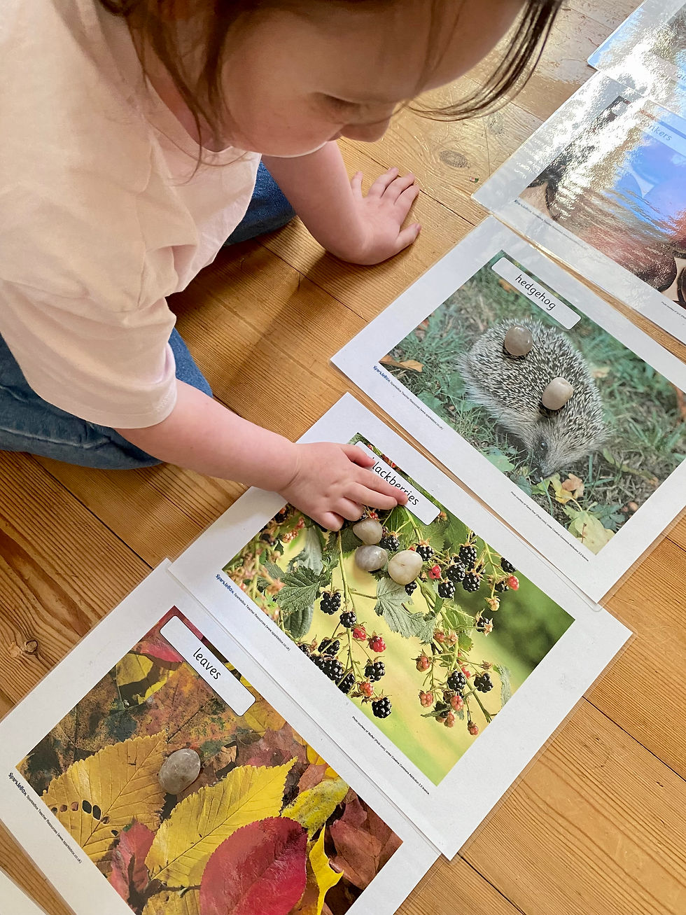 A child using conkers, stones, and autumn objects to break words into syllables during a playful reading activity.