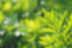 AdobeStock_228328076_Preview.jpeg