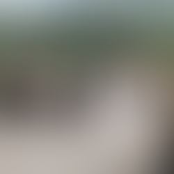 Kerala Motorcycle Tour: A Scenic Ride Through South India’s Tropical Paradise