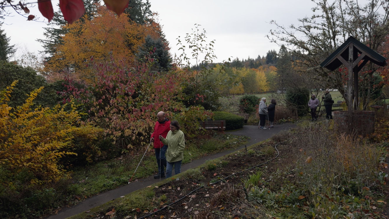 Visually impaired individuals walking in the park.