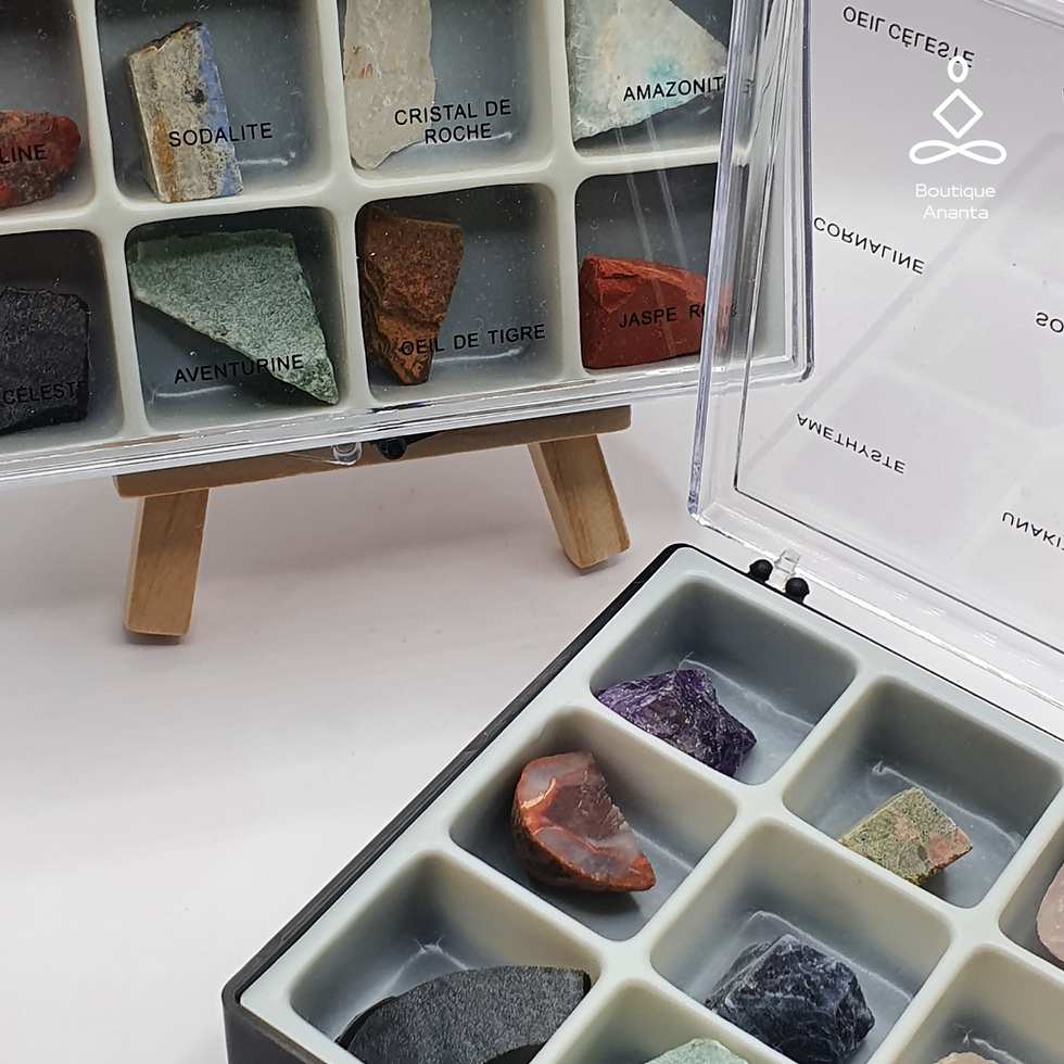 Miniature : Boite de collection de minéraux bruts