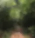 c0f9ef_0e57bd0206414debb739b0fedacaf20a~mv2.webp