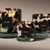 Fig Tree candle in a hand blown glass