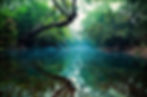 Serenity.jpg