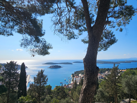 Hvar 2026, feb. tekaško pohodni tabor