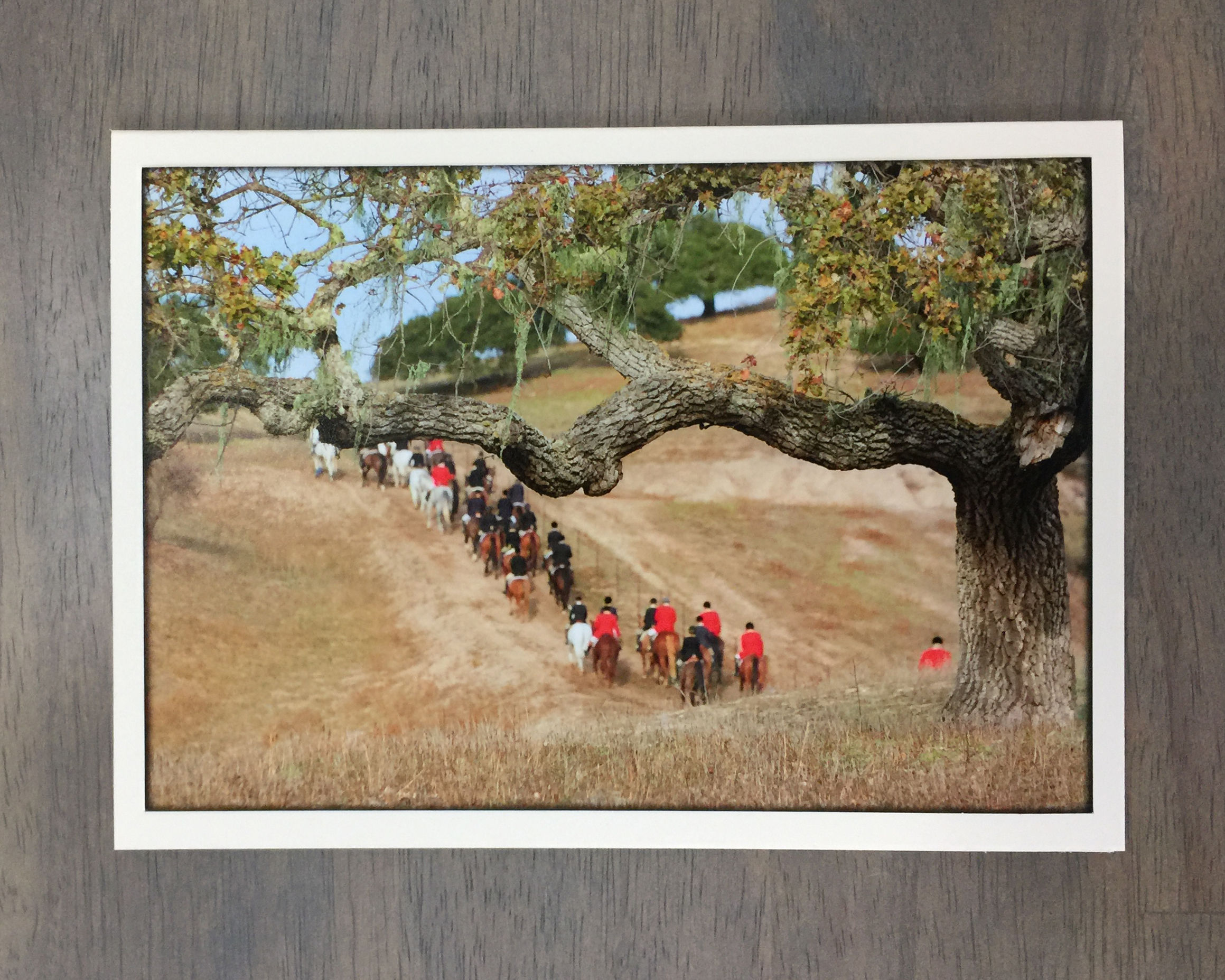 Fox Hunting Greeting Card