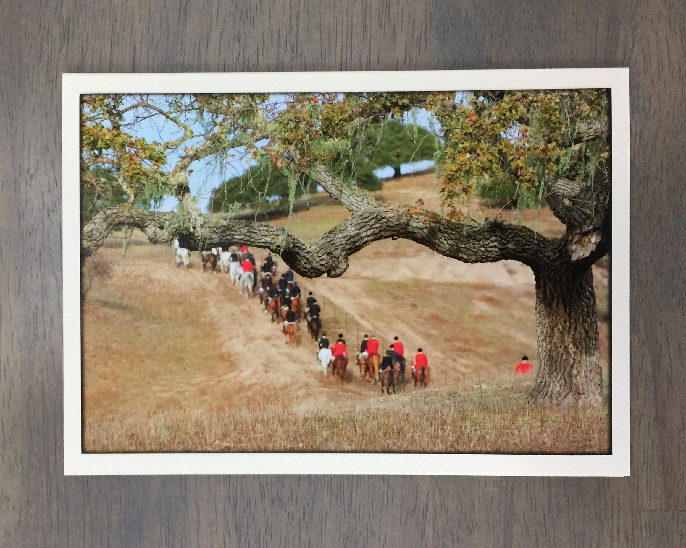 Fox Hunting Greeting Card