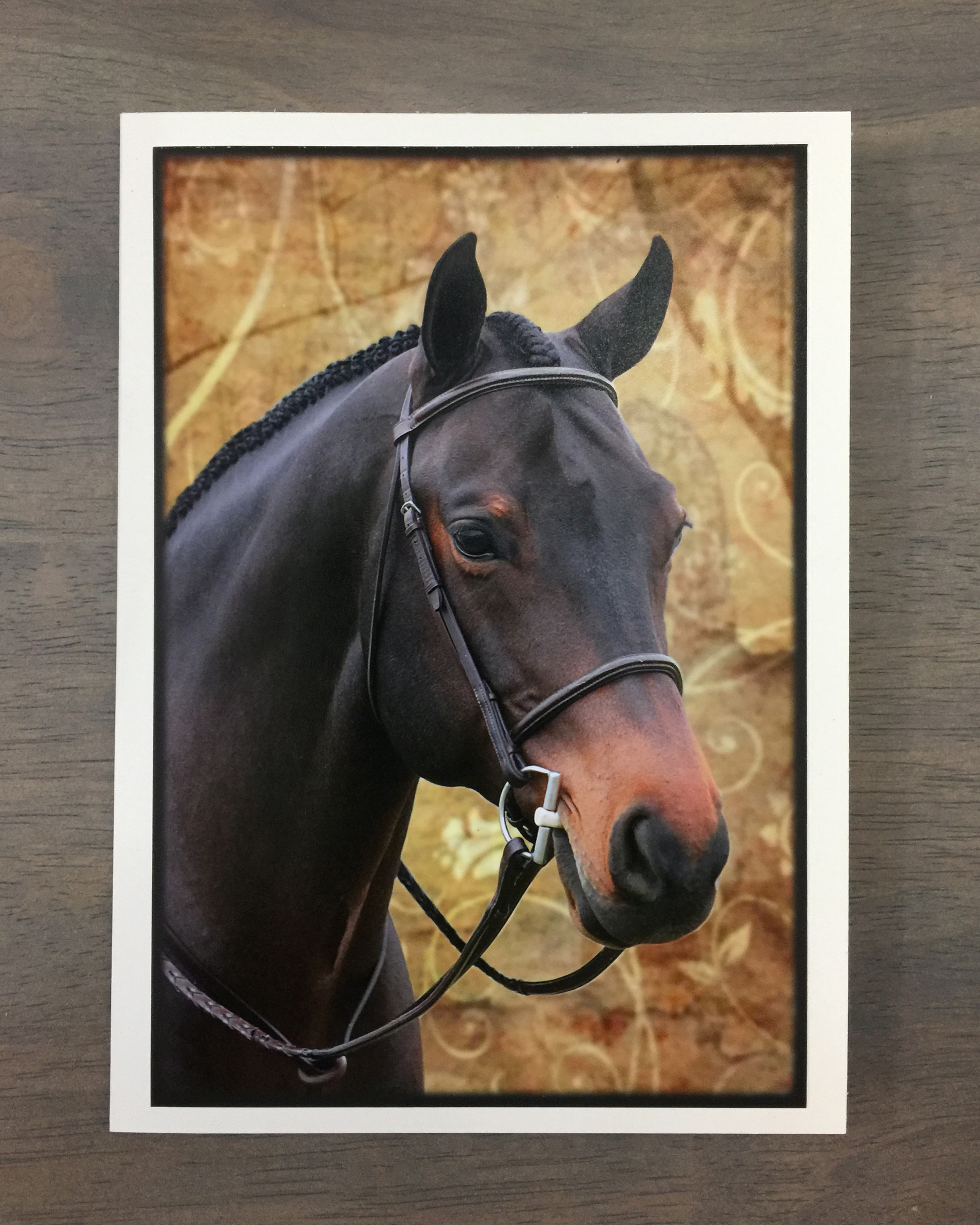 Horse Greeting Card