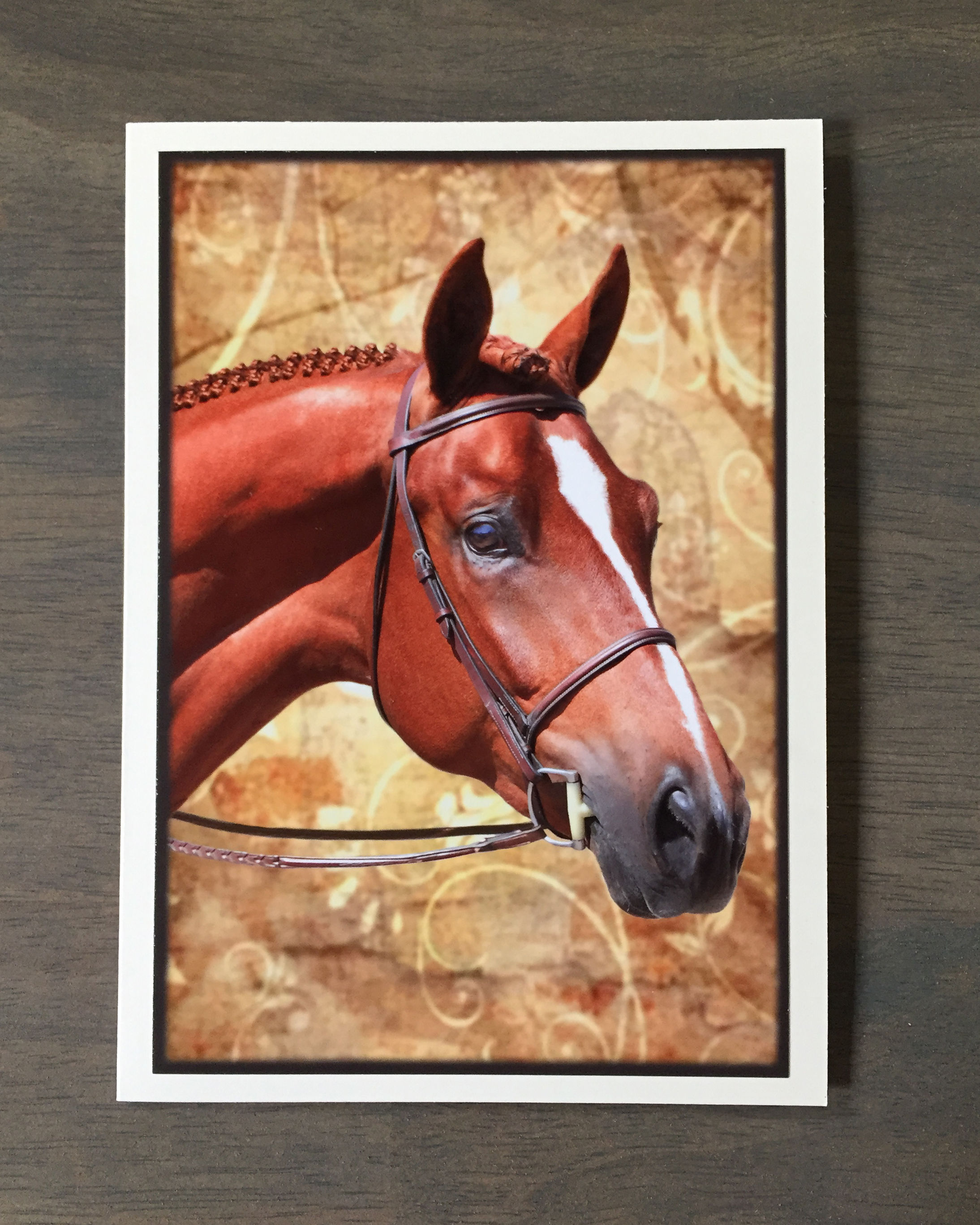 Horse Greeting Card
