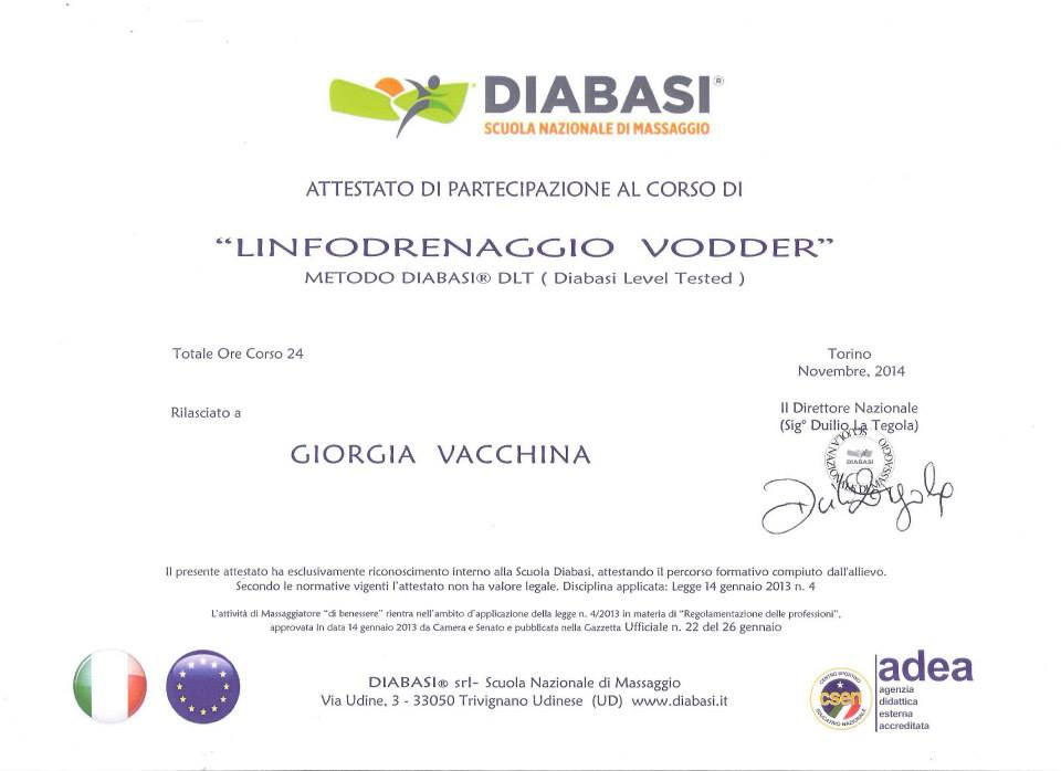 Linfodrenaggio Vodder