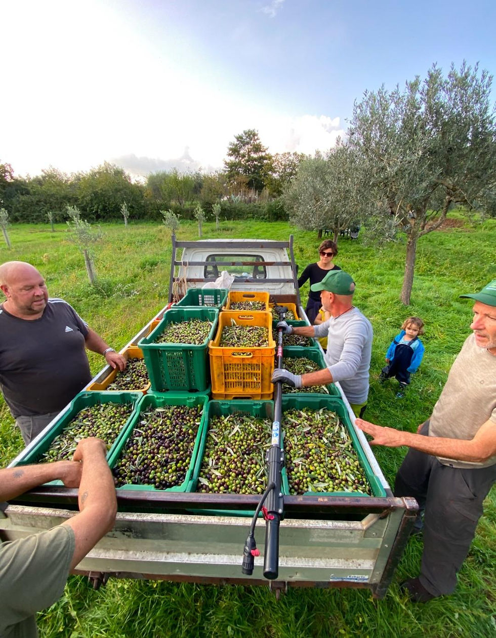 Harvest Team
