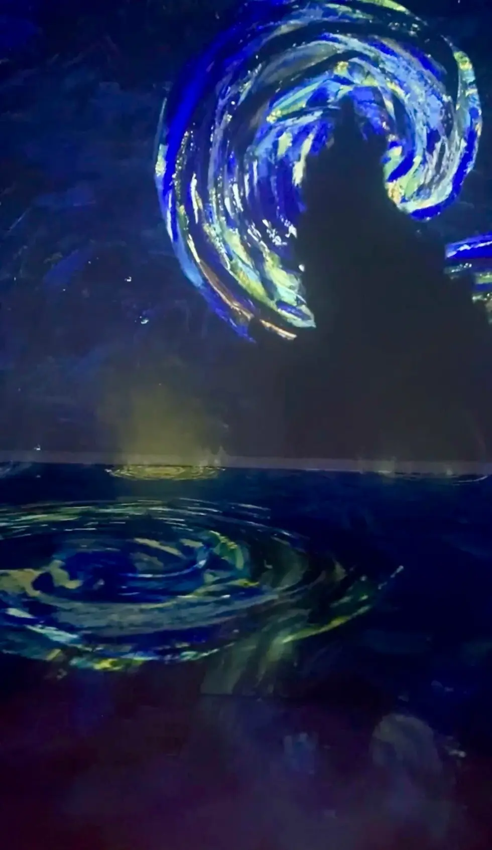 Photo Credit: Melissa Swonger; Immersive Experience 2022