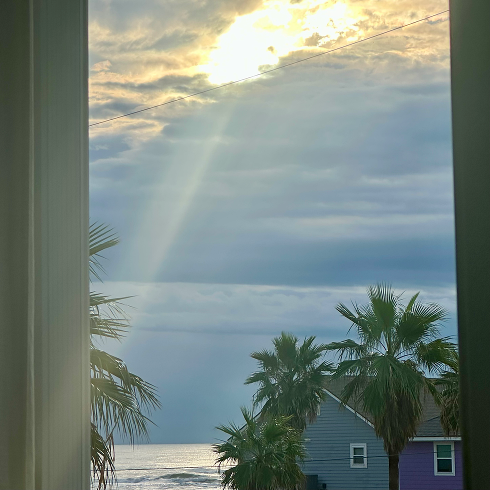 Photo Credit: Melissa Swonger, Galveston Island, October 2025