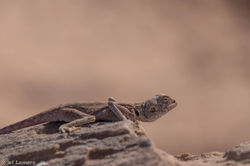 jpeg-optimizer_IMG_5320-2 c