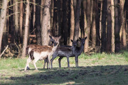 jpeg-optimizer_IMG_8173-nieuw c