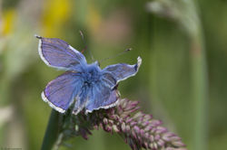 jpeg-optimizer_IMG_8653-nieuw2 c