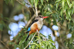 IMG_2507-nieuw2 c