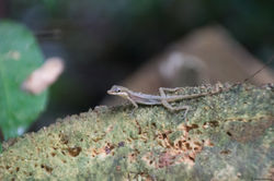 IMG_10358- c
