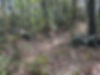 Flint Mountain Wildlands.jpg