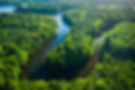 stunning-turning-river-and-forests-at-sunrise-aer-2023-11-27-04-59-11-utc.jpg