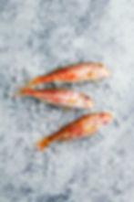 creative-arrangement-raw-fish.jpg