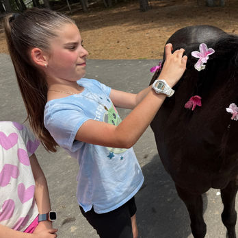 little girl putting flower on a horse