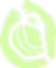 LOGO matcha-01.png