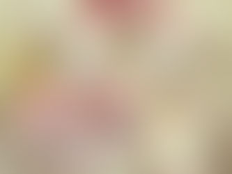 Páscoa, significa Renascimento, Amor, Fraternidade e União.