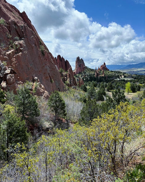 499E8D2E-DF3A-462F-93D0-69BDB534F32B