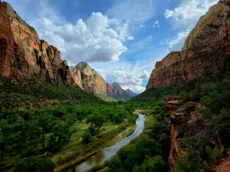 zion national park