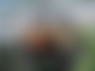 FAMÍLIA VIVA A VIDA EM FAMÍLIA