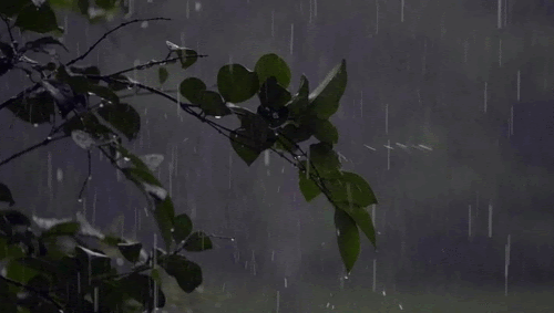 unnamed.gif