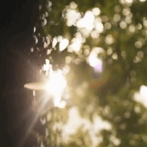 tumblr_c62dc7c6b15f9d1e30f69fa08a0eed9d_b6a3fb4c_400.gif