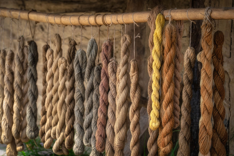 Art & Nature for Teens: Woven and Crocheted Tapestries