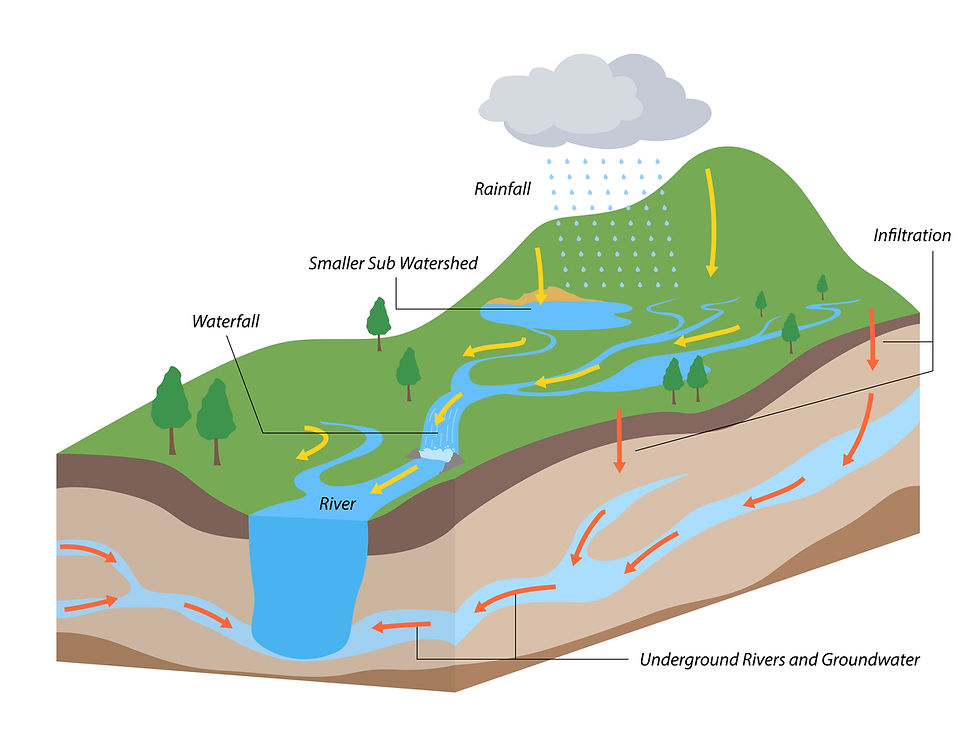 Exploring Watersheds: How Pollution Travels Presented by Community Development