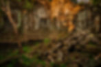 Forbidden Ruins Treasure Quest