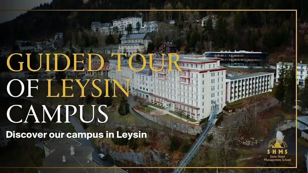 leysin_v1.webp