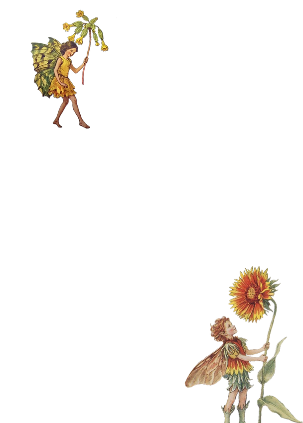proposal (1).png