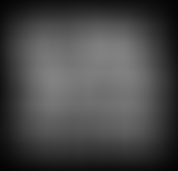 2022 has been an amazing year at Know Your Rights Camp!