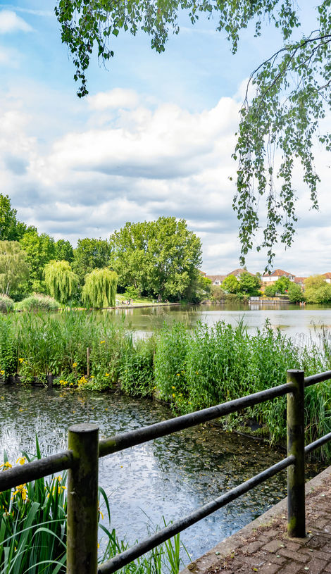 Lake path at Iris Court, Thames Reach, London SE28