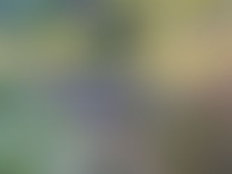 Point Four: Small Stream, Big Trout