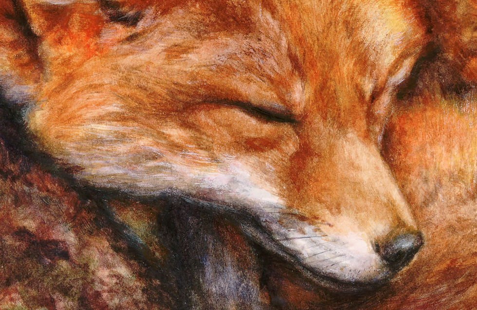 Thumbnail: Mister Fox